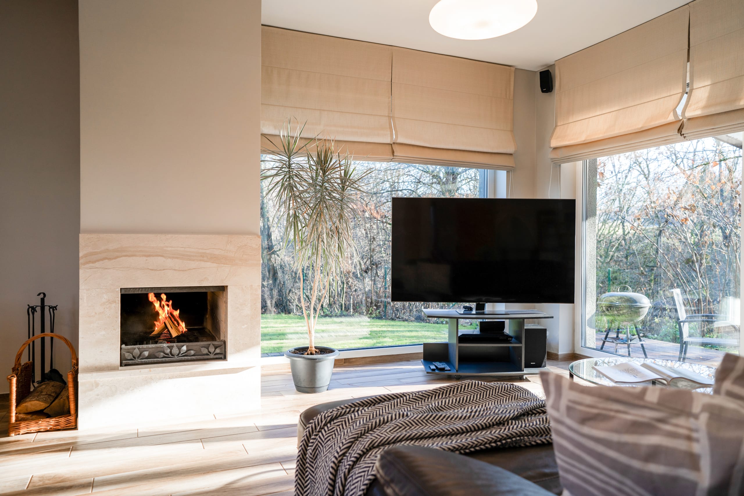 DSC01613 copy-2 copy